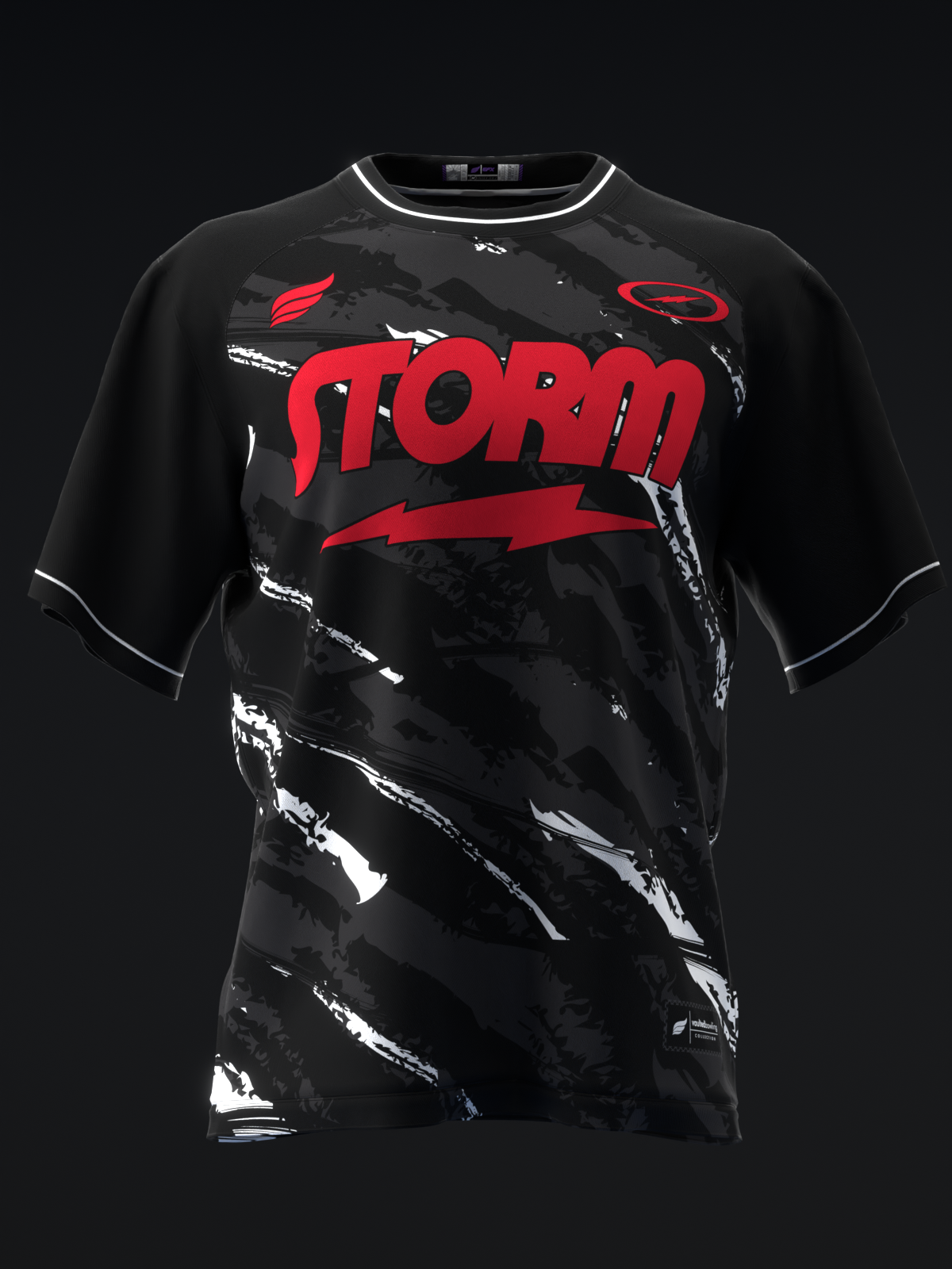 VAULT #20250001 - STORM