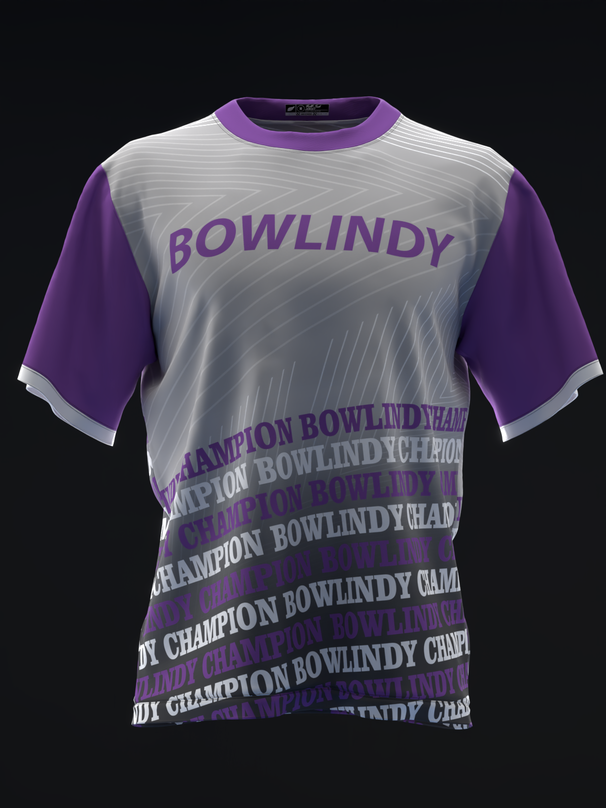 Predesigned---Bowl-Indy---Silver-Purple_000