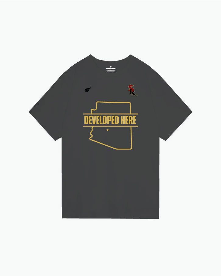 SHADOW RIDGE - FOOTBALL STATE GRAY TEE